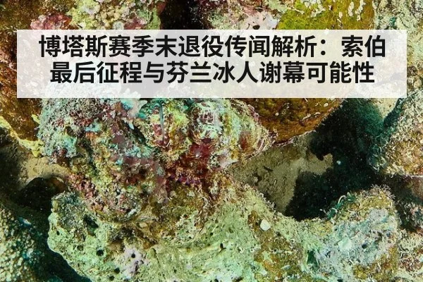 博塔斯赛季末退役传闻解析：索伯最后征程与芬兰冰人谢幕可能性
