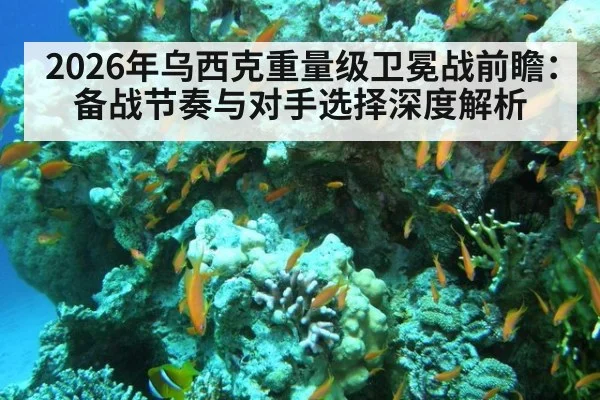 2026年乌西克重量级卫冕战前瞻：备战节奏与对手选择深度解析